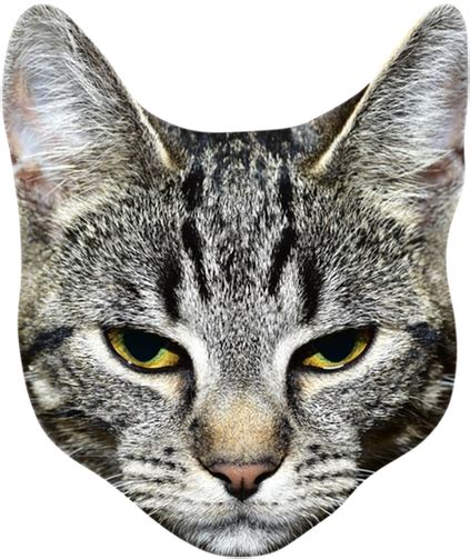 Cat Head Png Cat Stickers For Imessage Transparent Cat Head Png