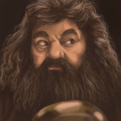 Artstation Hagrid Mon Of Dragons Soapaint Hagrid Rubeus Hagrid Harry Potter