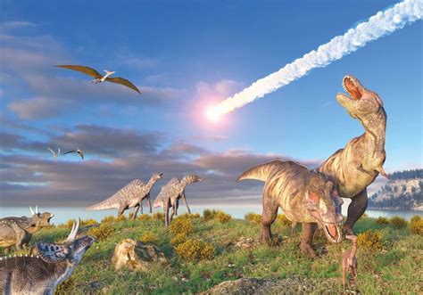 The 5 Mass Extinction Events That Shaped The History Of Earth — And The