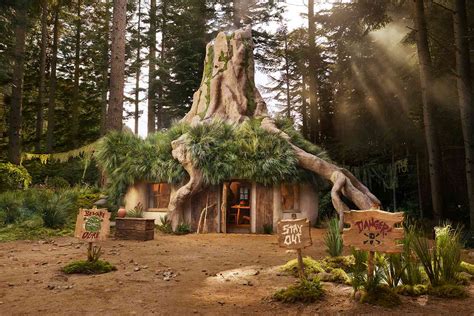 Donkey Is Welcoming Fans Into Shreks Swamp On Airbnb — See Inside