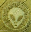 Image result for crop circles