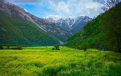 Landscape Meadow Flowers Mountains Iran Rumput 4k