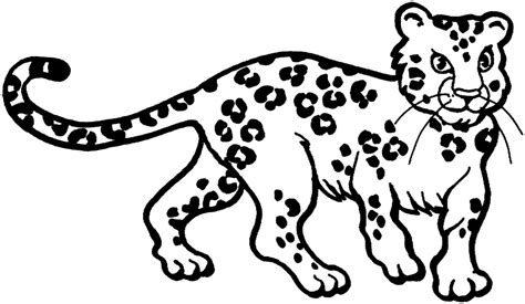 Leopard Coloring Page Coloring Home
