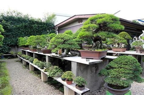 Top 25 Bonsai Gardens In The World Hooked On Bonsai