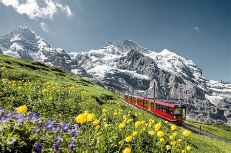 Jungfraujoch Top Of Europe Best Of Switzerland Tours