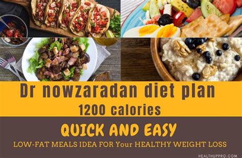 dr nowzaradan diet plan 1200 calories pdf dr nowzaradan diet diet 1200 calories