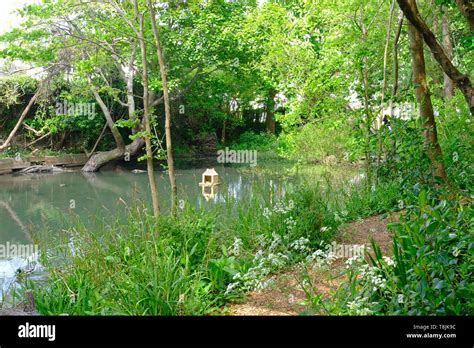Sussex England Middleton Village Pond In Late Spring Stock Photo Alamy