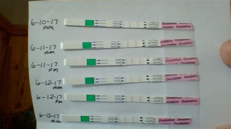 Ovulation tests can determine your fertility window and increase the chances of getting pregnant. TTC with the ovulation test strips | BabyCenter