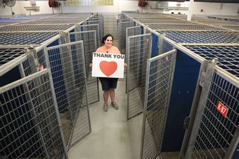 Happiest Shelter Photo Shows Dozens Of Empty Cages The Dodo