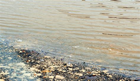 Conséquences De La Pollution De Leau Sur La Santé Et Lenvironnement