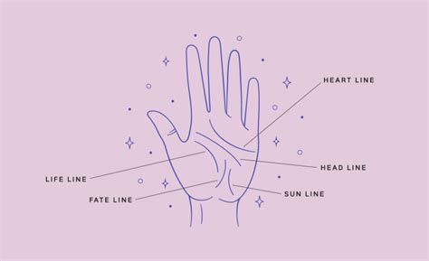 Read Between The Lines A Starter Guide To Reading Palms At Home