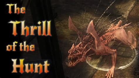 The Thrill Of The Hunt Solo Walkthrough And Guide Youtube