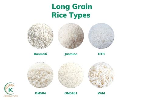 Long Grain Rice Types And Must Know Things About Them