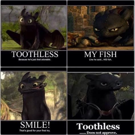 Toothless Toothless And Stitch Toothless Dragon Toothless Funny