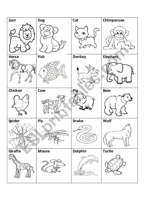 Animals In English Coloring Esl Worksheet By Danto314