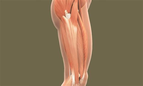 Iliotibial Band Syndrome In Runners