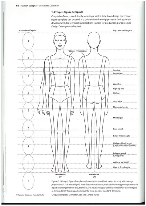 Body Proportions For The Ideal Human Body Typically 8 Head