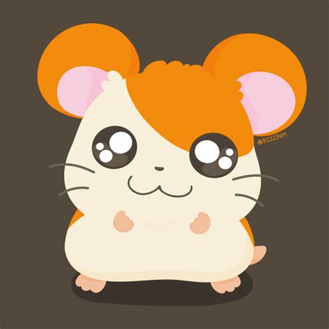 Hamtaro Hamtaro Drawn By Rizurizunm Danbooru