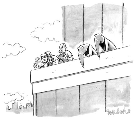 Slide Show New Yorker Cartoons May 20 2019 The New Yorker