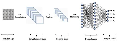 A Schematic Of The Convolutional Neural Network Cnn With Vrogue