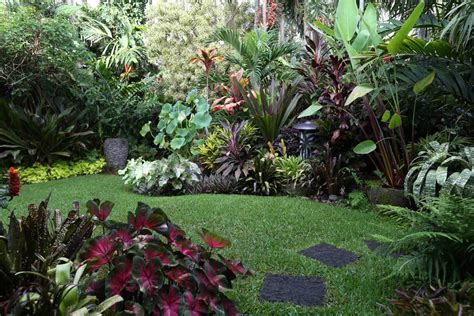 How To Create A Tropical Garden Tristan Smith Landscape Designs