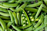 Spring Produce Guide: Fruits and Vegetables - FoodPrint