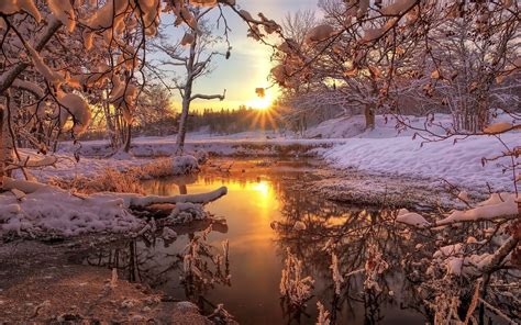 Snowy Forest At Sunrise Wallpapers Wallpaper Cave