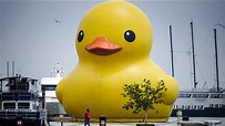 Giant rubber duck floats in Toronto for festival - YouTube
