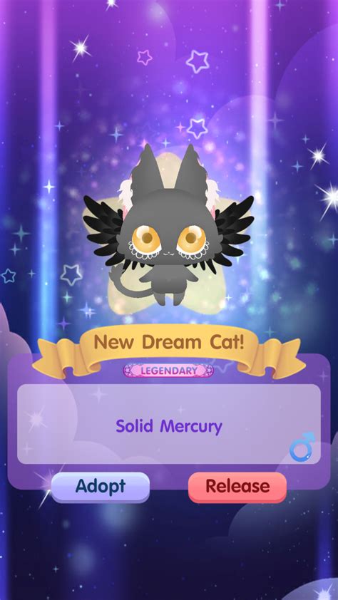 Dream Cats Catalog