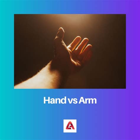 Hand Vs Arm Difference And Comparison