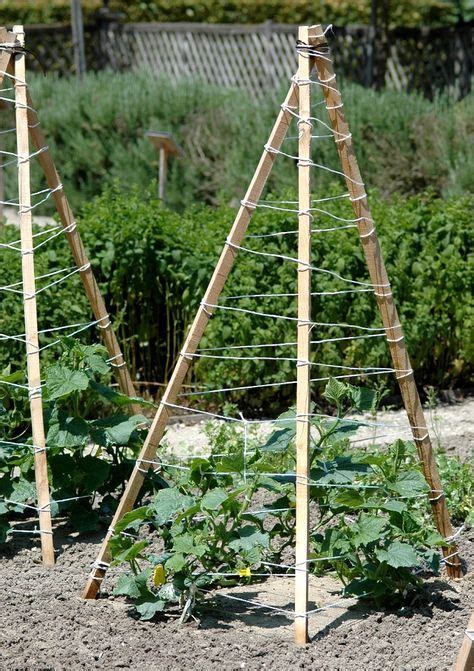 Tuteur à cornichon Aménagement jardin recup Tuteur jardin