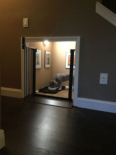 Dog Room Done Under The Stairs Under Stairs Dog House Dog Rooms Dog