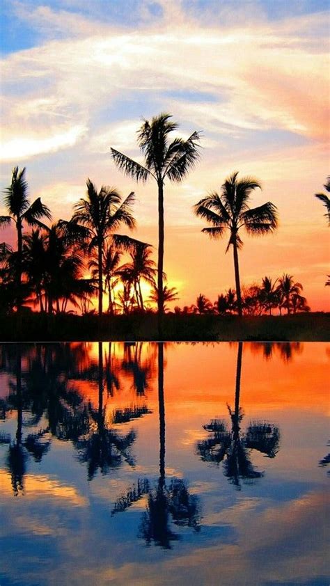 Summer Good Vibes Ocean Beach Sky Palm Trees Sunset Ocean Sea