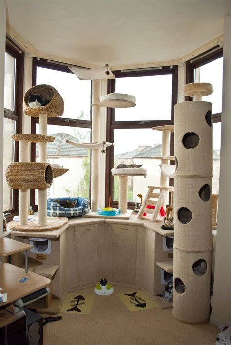 154 Best Cool Cat Condos Images On Pinterest Cat Condo Dog Cat And