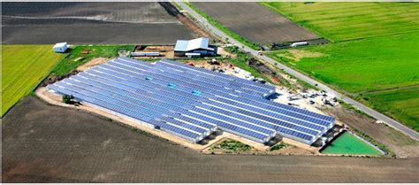 Solar Photovoltaic Greenhouses Solution At Best Price In Gurgaon