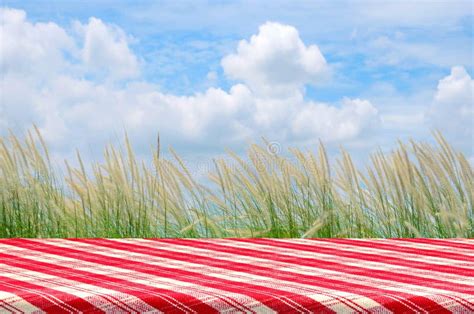 Picnic Background With Picnic Table Stock Image Image Of Checkered