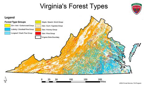 Virginias Forest Composition Virginia Department Of Forestry