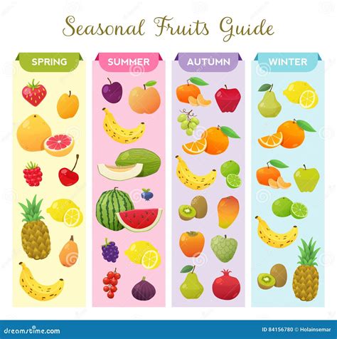 Infographic About Seasonal Fruits Stock Vector Illustration Of