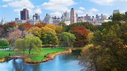 The Ultimate Guide to Central Park - Propriedades da platina