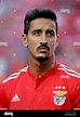 Andre gomes benfica hi-res stock photography and images - Alamy