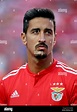Andre gomes benfica hi-res stock photography and images - Alamy