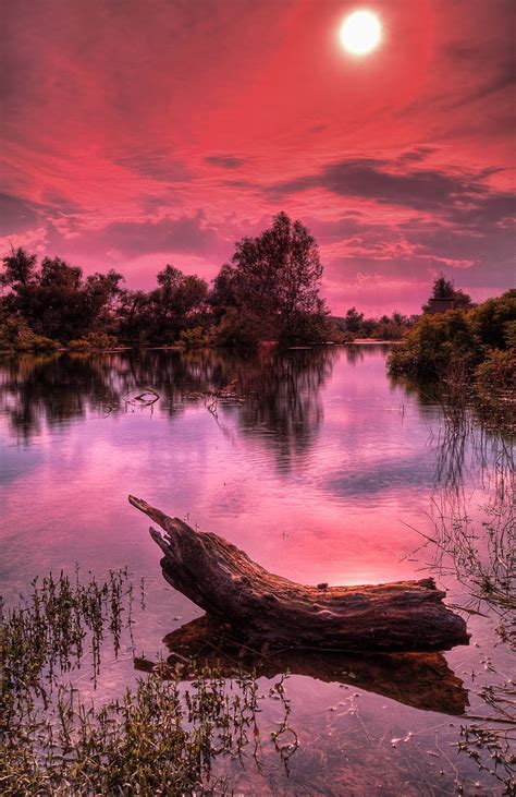 Calm Fire Amazing Nature Nature Photography Scenery