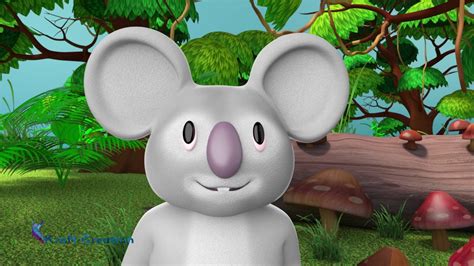 Koala Bear 3d Animation Story Kcgi Youtube