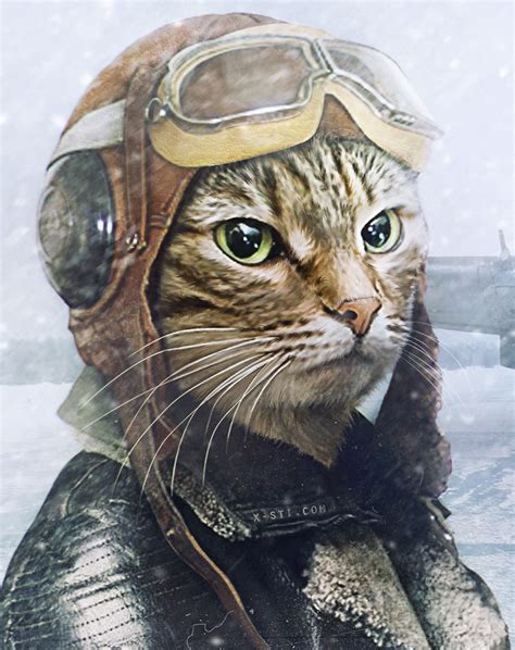 Cat Pilot On Behance