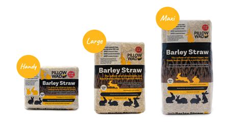 Barley Straw Buy Premium Pet Feed And Bedding Pillow Wad