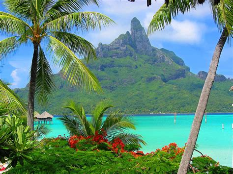 Bora Bora Resort South Polynésie Hd Papier Peint Widescreen Haute