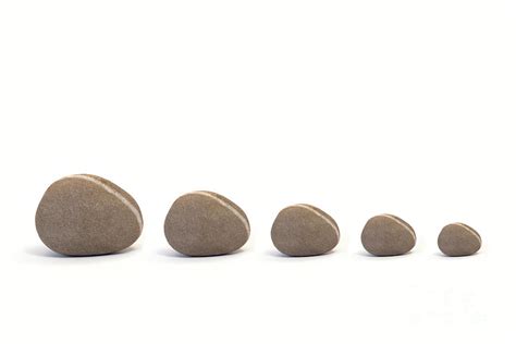 Five Pebbles Against White Background Photograph By Natalie Kinnear