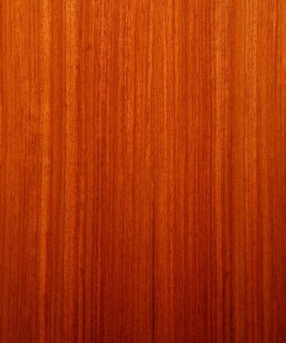 Padauks are valued for their toughness, stability in use, and decorativeness, most having a reddish wood. Padauk Wood at Rs 2850 /cubic feet | Padauk | ID: 7476133548