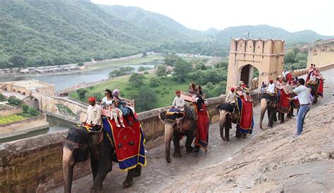Elephant Ride In Amber Fort Krishna Thapa
