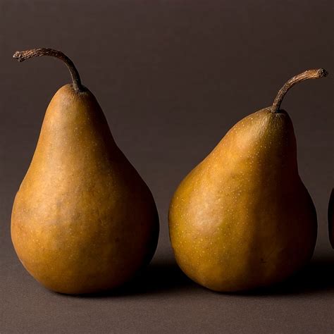 7 Types Of Pears And The Best Ways To Eat Them